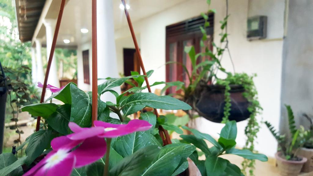Kassapa Home Stay Szigirija Kültér fotó